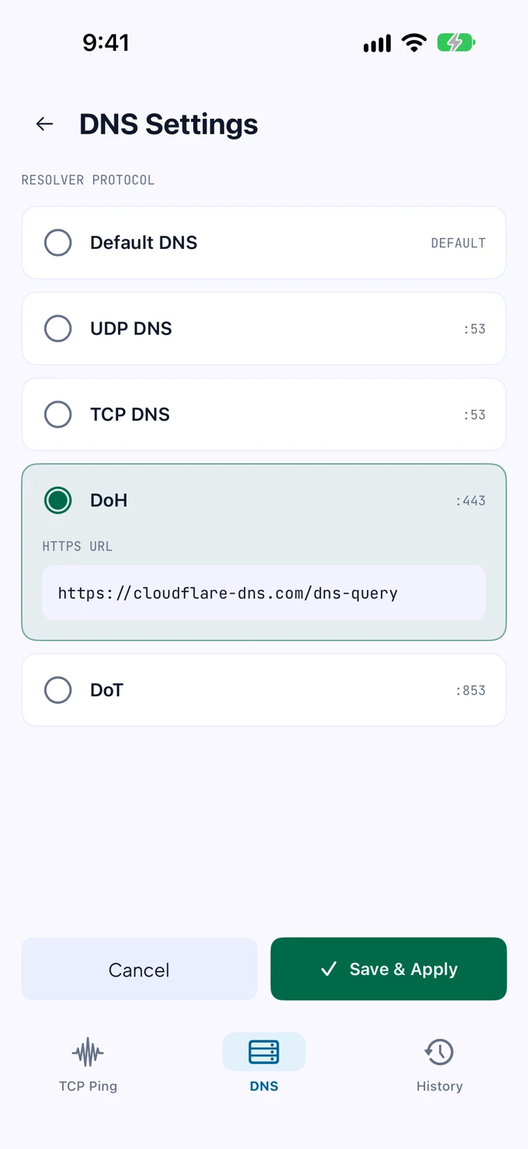TCP Ping DNS settings with DNS over HTTPS selected